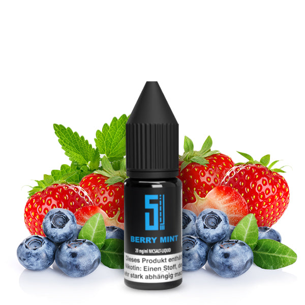 5 EL Berry Mint Nikotinsalz Liquid