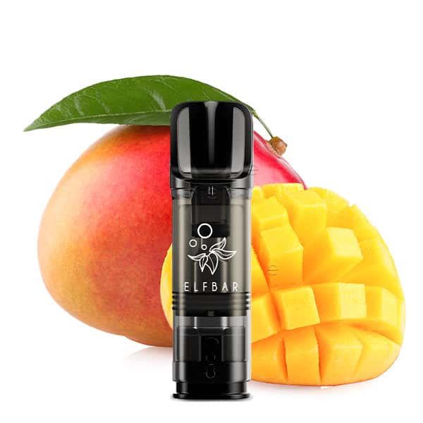 Fundgrube: Elfbar Elfa Prefilled Pods (2er-Pack)